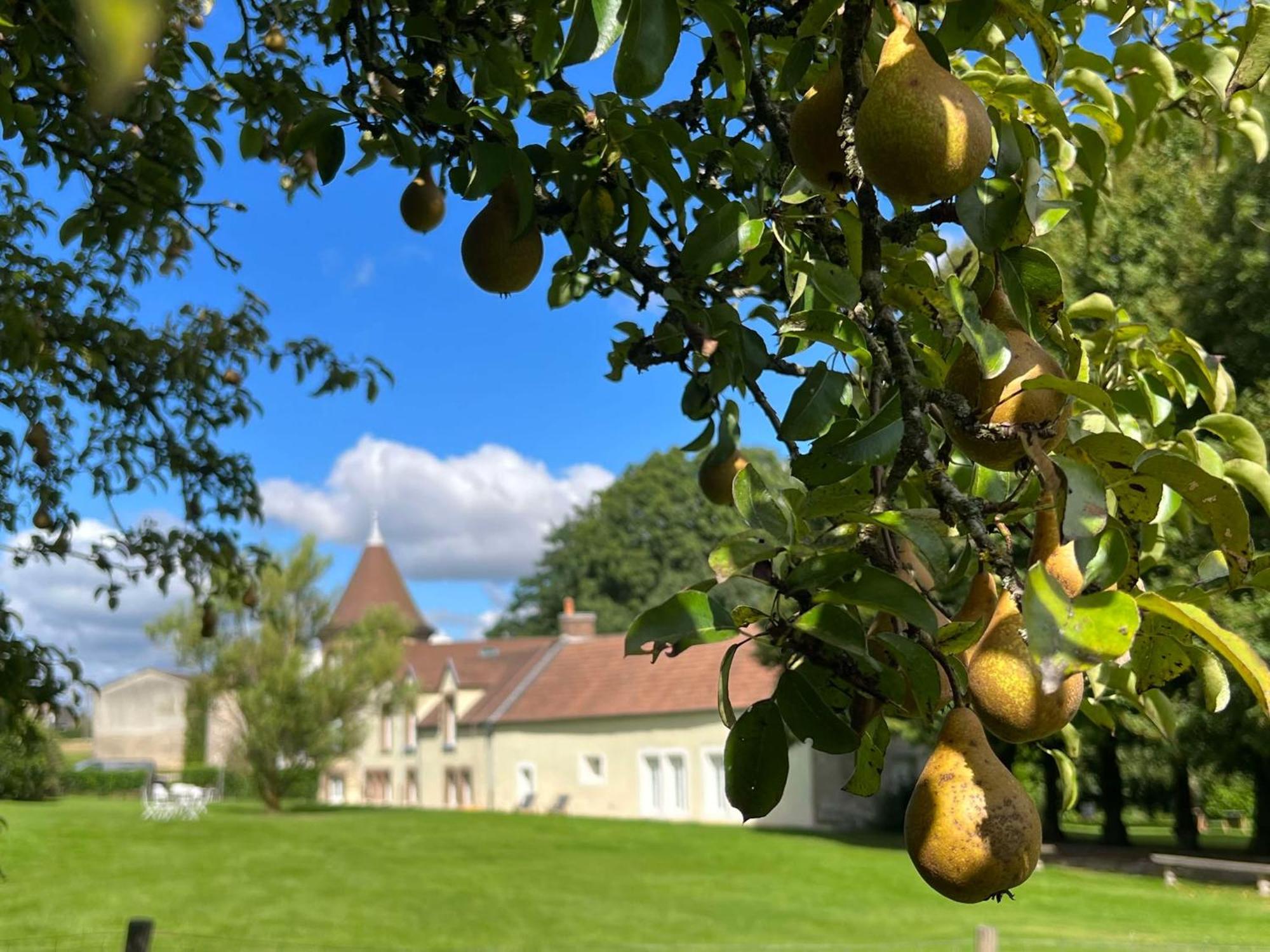 Le Petit Chateau Baye  Esterno foto